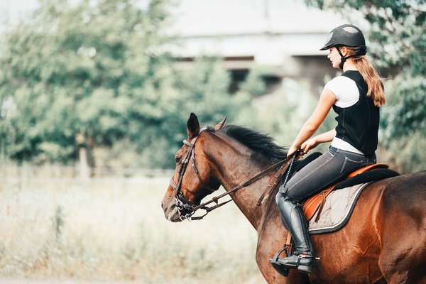 Accompagnement du cheval, Le Chambon Fougerolles, Les Ecuries d'Angelin