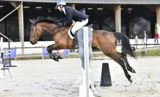 Pension complète ou demi-pension avec un vrai cheval de Sport à Saint Etienne, Le Chambon-Feugerolles, Les Ecuries d'Angelin