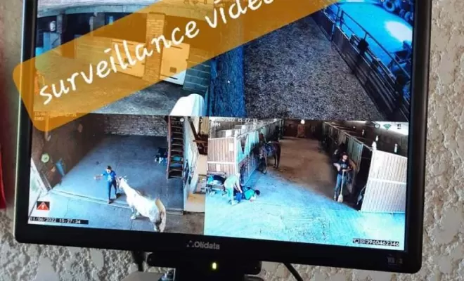 Pension équine avec surveillance vidéo, Le Chambon Fougerolles, Les Ecuries d'Angelin